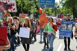 Demo gegen Tierversuche in Tübingen mit MUT-Plakat