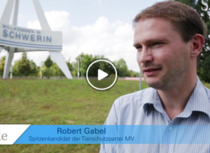 SVZ-Interview mit Robert Gabel