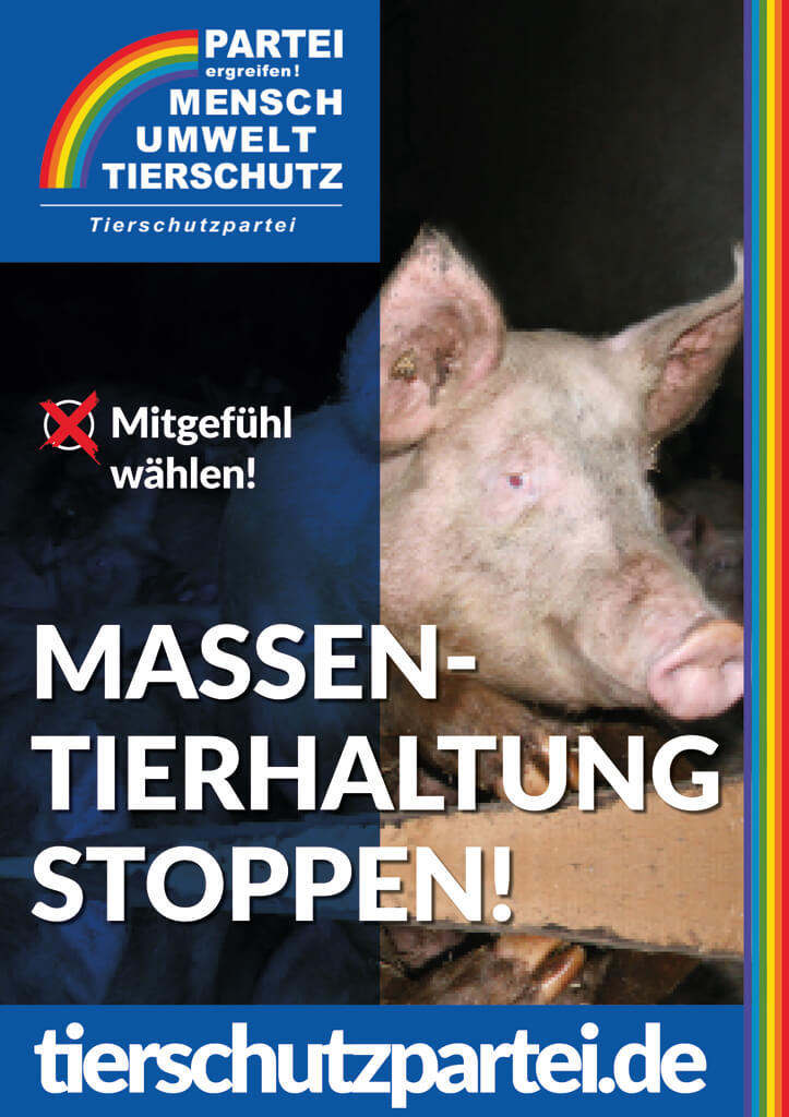 Wahlplakat Massentierhaltung