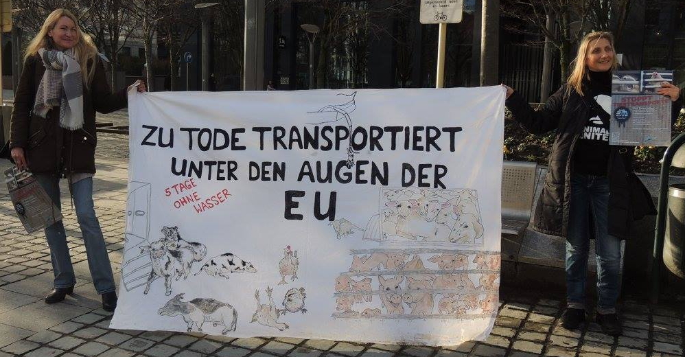 Demo Tiertransporte Brüssel Handgefertigtes Banner