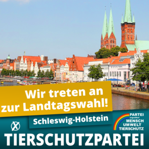 Landtagswahl Schleswig-Holstein 2022