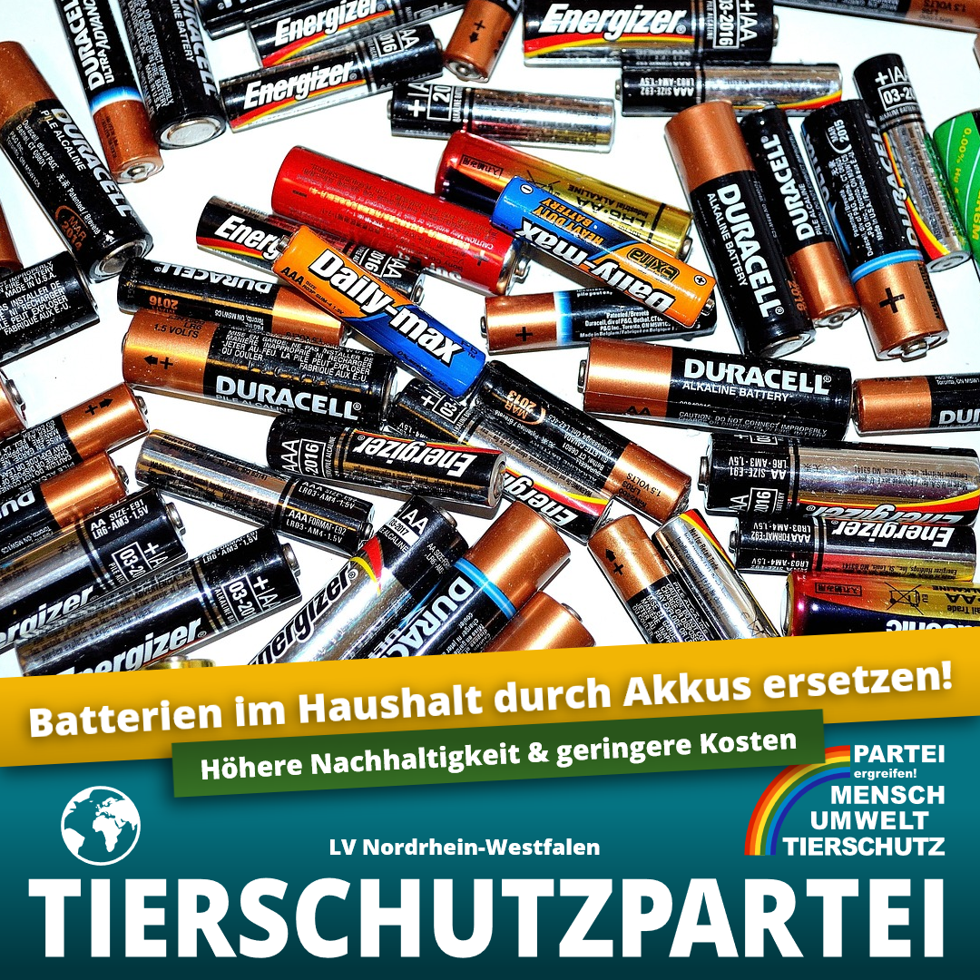 Höhere Nachhaltigkeit und geringere Kosten: Batterien im Haushalt durch Akkus  ersetzen - Dortmund-Süd